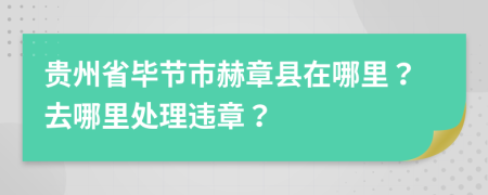 贵州省毕节市赫章县在哪里？去哪里处理违章？