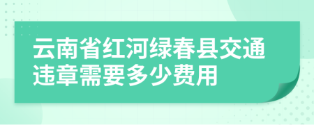 云南省红河绿春县交通违章需要多少费用