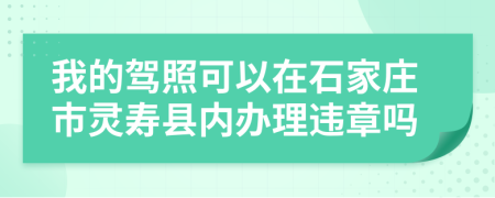 我的驾照可以在石家庄市灵寿县内办理违章吗