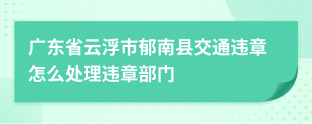 广东省云浮市郁南县交通违章怎么处理违章部门