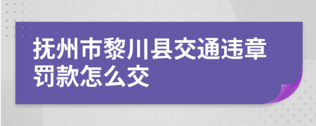 抚州市黎川县交通违章罚款怎么交