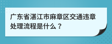 广东省湛江市麻章区交通违章处理流程是什么？