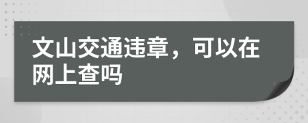 文山交通违章，可以在网上查吗