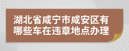 湖北省咸宁市咸安区有哪些车在违章地点办理