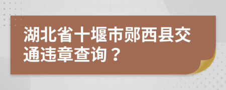 湖北省十堰市郧西县交通违章查询？