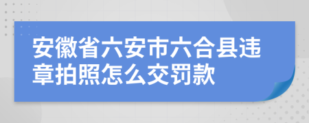 安徽省六安市六合县违章拍照怎么交罚款