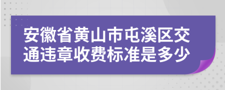 安徽省黄山市屯溪区交通违章收费标准是多少