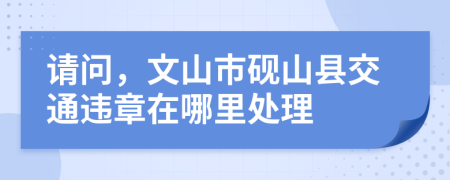 请问，文山市砚山县交通违章在哪里处理