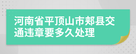 河南省平顶山市郏县交通违章要多久处理