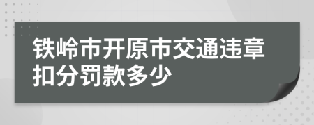 铁岭市开原市交通违章扣分罚款多少