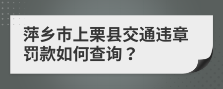 萍乡市上栗县交通违章罚款如何查询？