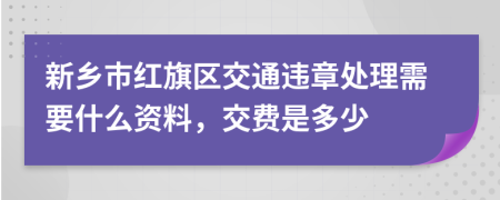 新乡市红旗区交通违章处理需要什么资料，交费是多少