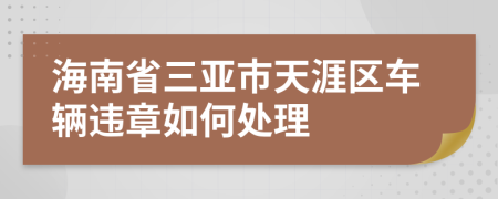 海南省三亚市天涯区车辆违章如何处理