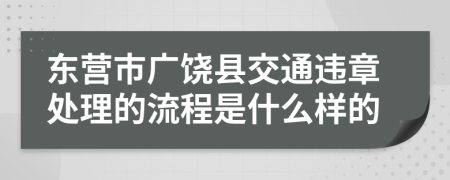 东营市广饶县交通违章处理的流程是什么样的