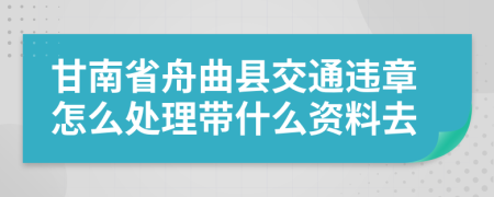 甘南省舟曲县交通违章怎么处理带什么资料去