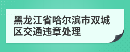 黑龙江省哈尔滨市双城区交通违章处理