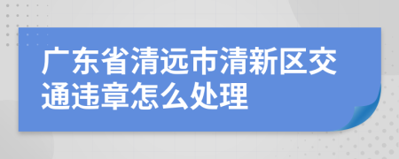 广东省清远市清新区交通违章怎么处理