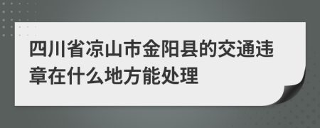 四川省凉山市金阳县的交通违章在什么地方能处理