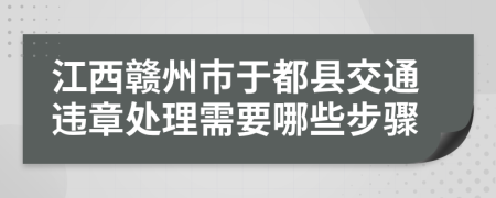 江西赣州市于都县交通违章处理需要哪些步骤