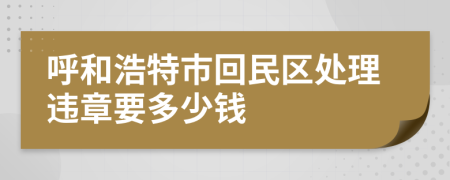 呼和浩特市回民区处理违章要多少钱