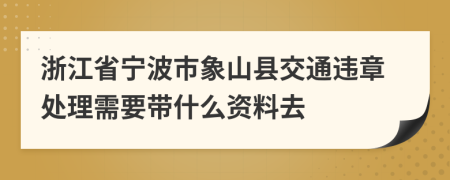 浙江省宁波市象山县交通违章处理需要带什么资料去