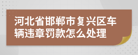 河北省邯郸市复兴区车辆违章罚款怎么处理