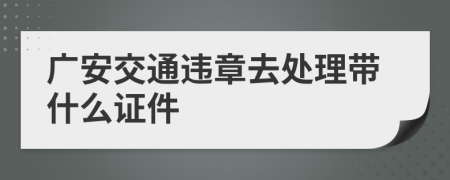 广安交通违章去处理带什么证件