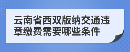 云南省西双版纳交通违章缴费需要哪些条件