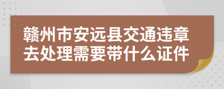 赣州市安远县交通违章去处理需要带什么证件