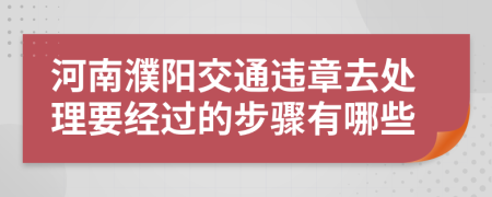 河南濮阳交通违章去处理要经过的步骤有哪些