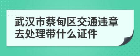 武汉市蔡甸区交通违章去处理带什么证件