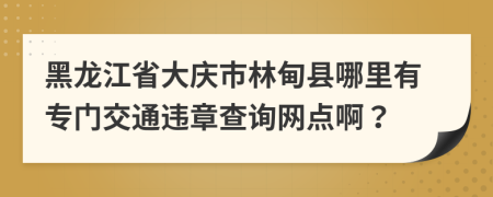 黑龙江省大庆市林甸县哪里有专门交通违章查询网点啊？