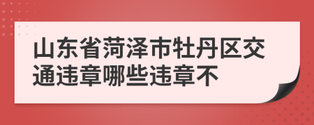 山东省菏泽市牡丹区交通违章哪些违章不