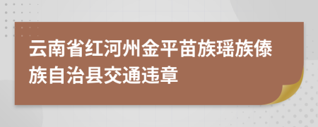 云南省红河州金平苗族瑶族傣族自治县交通违章