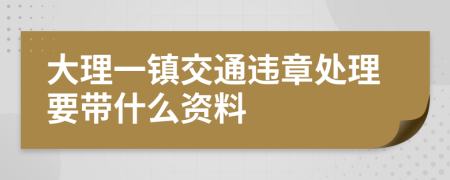 大理一镇交通违章处理要带什么资料