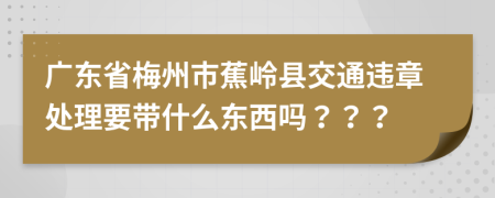 广东省梅州市蕉岭县交通违章处理要带什么东西吗？？？