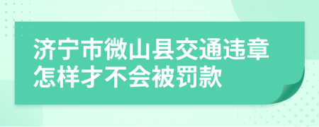 济宁市微山县交通违章怎样才不会被罚款