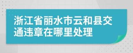 浙江省丽水市云和县交通违章在哪里处理