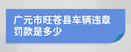 广元市旺苍县车辆违章罚款是多少