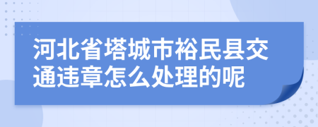 河北省塔城市裕民县交通违章怎么处理的呢