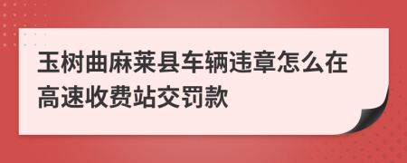 玉树曲麻莱县车辆违章怎么在高速收费站交罚款