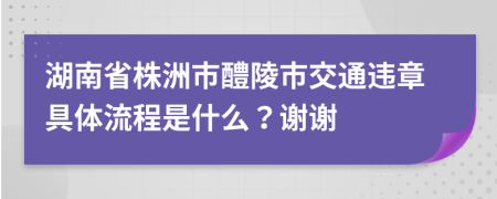 湖南省株洲市醴陵市交通违章具体流程是什么？谢谢