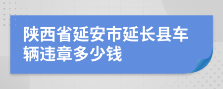 陕西省延安市延长县车辆违章多少钱