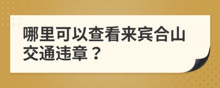 哪里可以查看来宾合山交通违章？