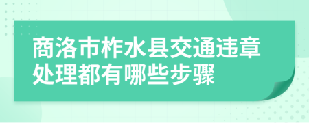 商洛市柞水县交通违章处理都有哪些步骤