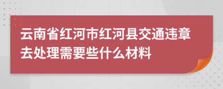 云南省红河市红河县交通违章去处理需要些什么材料