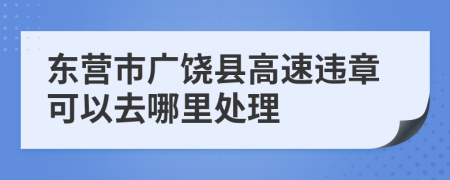 东营市广饶县高速违章可以去哪里处理