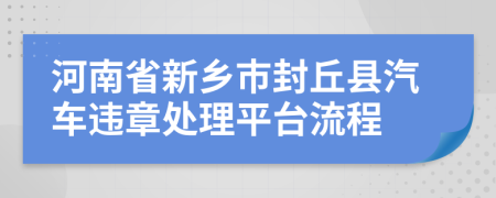 河南省新乡市封丘县汽车违章处理平台流程