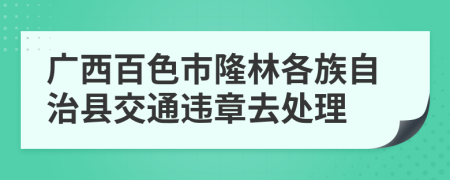 广西百色市隆林各族自治县交通违章去处理