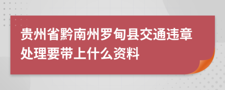 贵州省黔南州罗甸县交通违章处理要带上什么资料